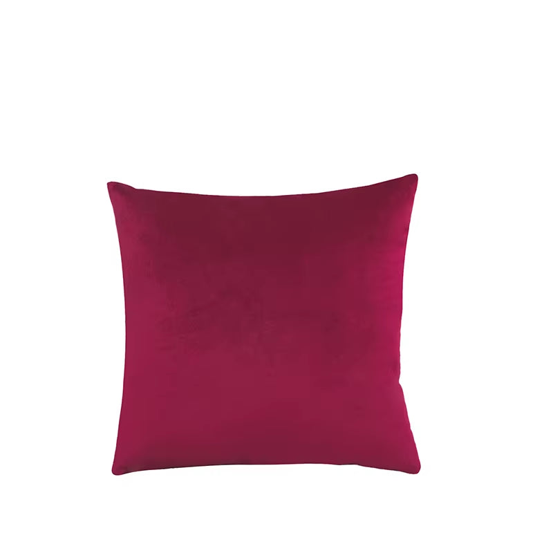2PCS Velvet Throw Pillow Cover Soft Solid Decorative Square Cushion Case Sofa Bedroom Car Home55X55/60X60Cm Cozy Pillowcase
